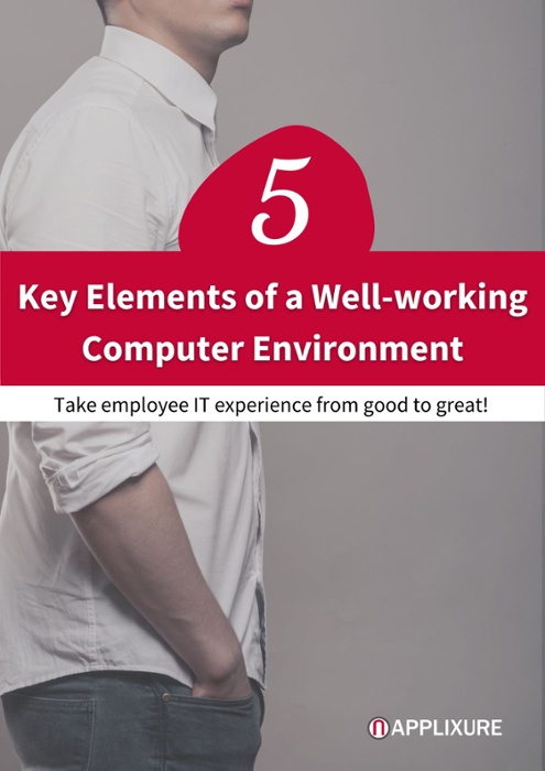 Cover - 5 Key Elements of  a Well-Working Computer Environment 495x700
