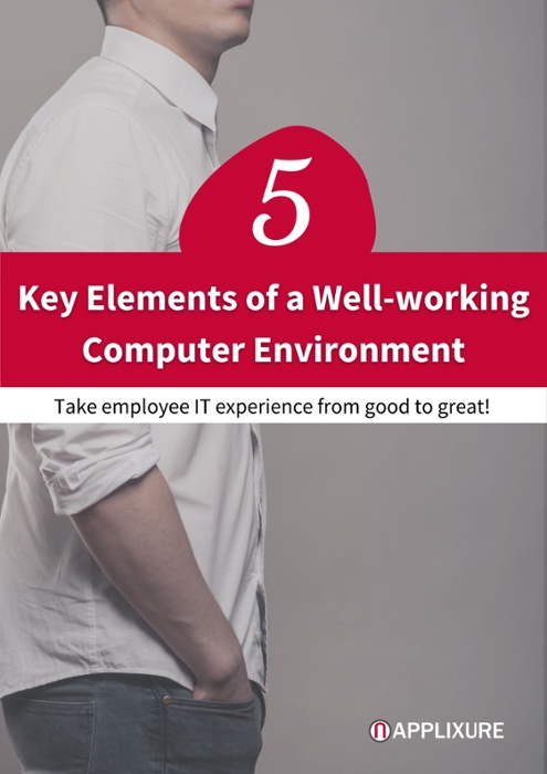 Cover - 5 Key Elements of a Well-Working Computer Environment 495x700 Cover - 5 Key Elements of a Well-Working Computer Environment 495x700