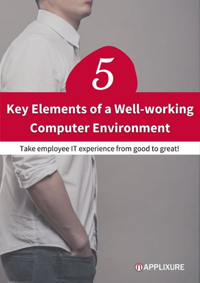 Cover - 5 Key Elements of  a Well-Working Computer Environment 495x700