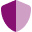 shield-halved-duotone-solid 1